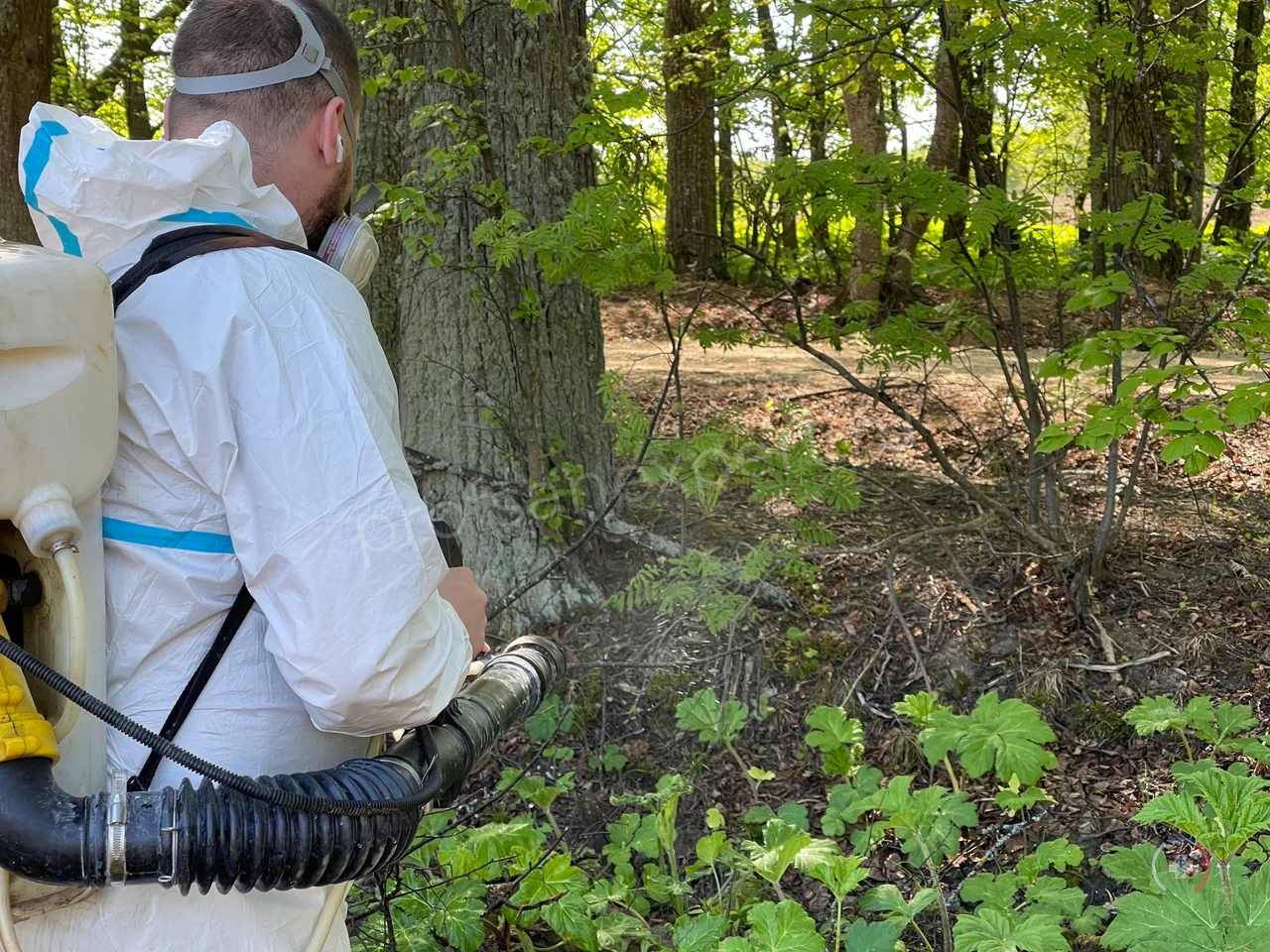 Галерея